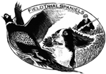 FT Spaniels